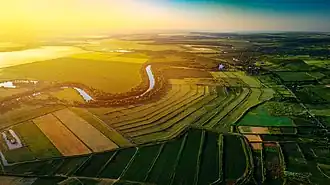 Crama Purcari deținută de Bostavan