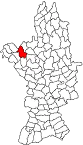 Amplasarea în cadrul județului