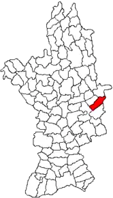 Amplasarea în cadrul județului