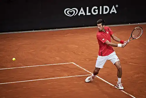 Novak Djoković, 2016