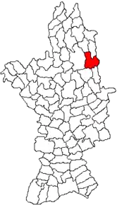 Amplasarea în cadrul județului