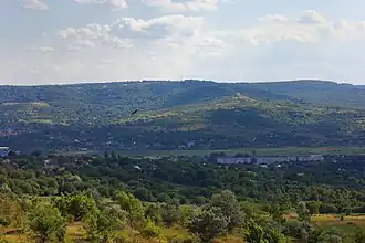 Vedere panoramică a unui cartier din oraș.