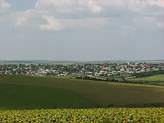 Vedere îndepărtată a unui cartier din oraș