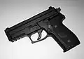 SIG P229