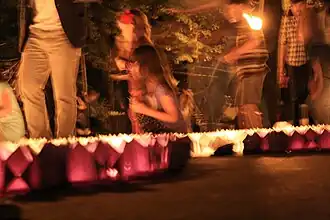 Festivalul Luminii (2016)