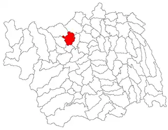 Poziția în cadrul județului Bacău