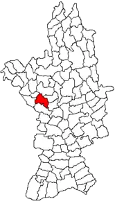 Amplasarea în cadrul județului