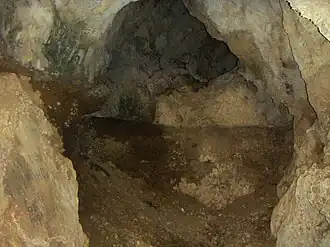 Peştera Cioarei, sat Boroşteni