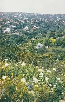 Satul la mijlocul anilor 1980.