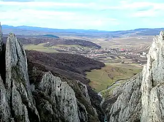 Râul Hășdate la intrarea în Cheile Turzii