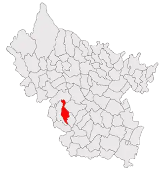 Poziția localității Pietroasele