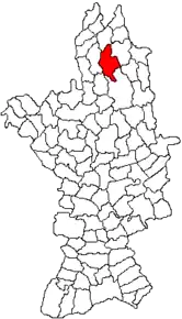 Amplasarea în cadrul județului