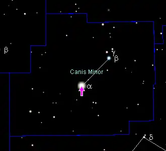 Poziția Procyon/α Canis Minoris în constelația Câinele Mic