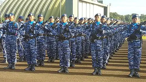 Trupe de aviație indoneziene