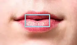 ㅁ imită gura închisă.