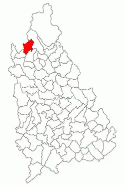 Amplasarea în cadrul județului