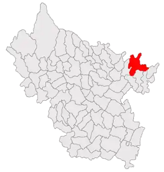 Poziția localității Puiești