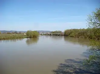 Râul Mureș la Ilia