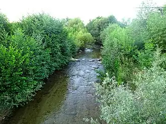 Râul Orăștie la Orăștioara de Sus