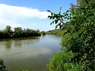 Râul Mureș la Drâmbar