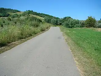 Drumul spre satul Lodroman