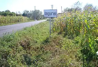 Intrarea în satul Ungurei