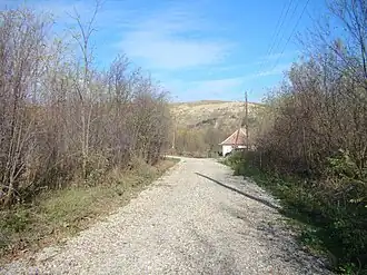 Valea Sasului