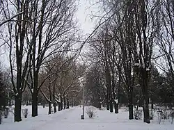 Salonta - Parcul central