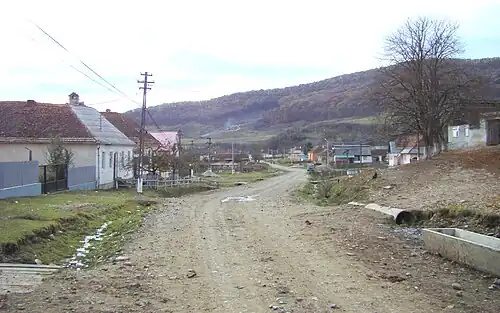 Satul Albeștii Bistriței