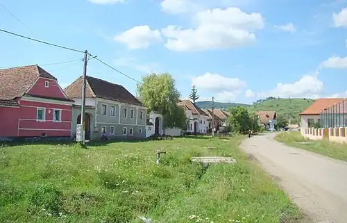 Ansamblul rural „Str. Principală”, sat Bunești (monument istoric)