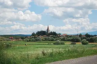 Localitatea Cincu văzută de pe drumul dinspre Agnita