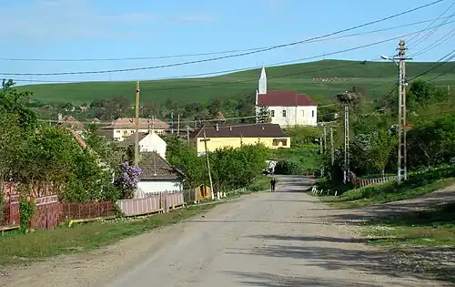 Cătina