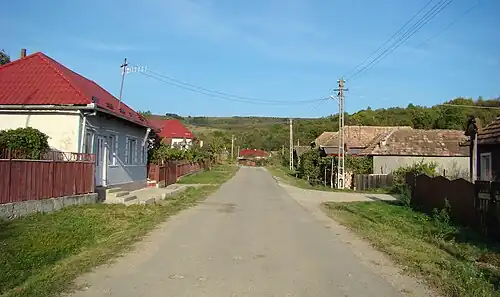 Satul Diviciorii Mici