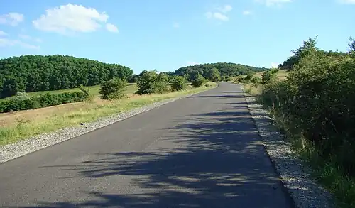 Drumul Vultureni-Panticeu