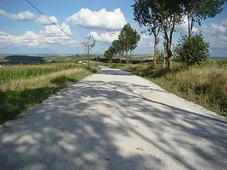 Drumul comunal Tureni-Micești