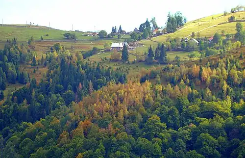 Mărișel, județul Cluj