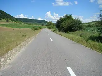 Drumul Pâglișa-Dârja