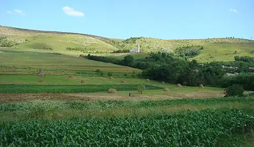 Satul Petreștii de Sus