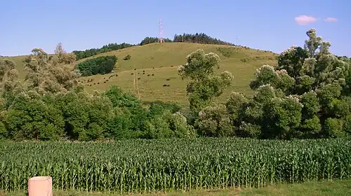 Cea mai mare fermă de bizoni din Europa se află la Recea-Cristur