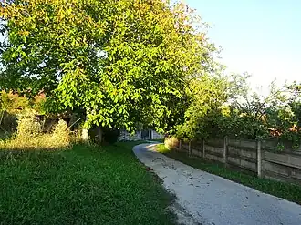 Drumul spre biserică