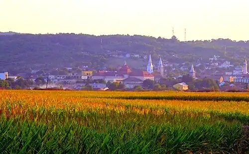 Panoramă a municipiului Orăștie dinspre Romos