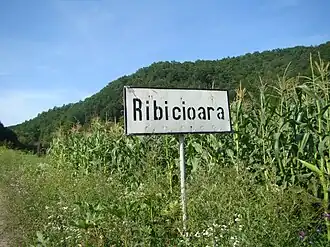 Intrarea în satul Ribicioara