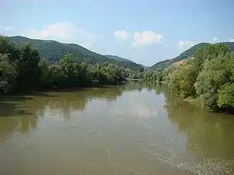 Râul Mureș la Sălciva