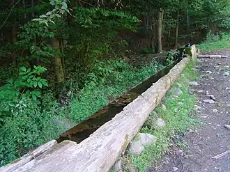 Adăpătoare în pădure