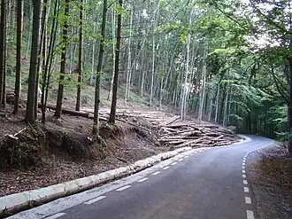 Drumul Corund-Fântâna Brazilor