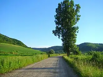 Drumul spre satul Țigmandru