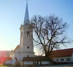Biserica reformată din Cinta