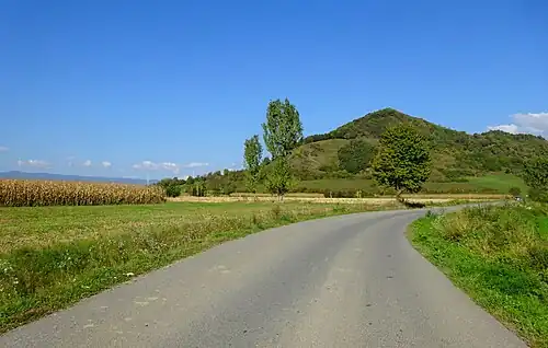 Drumul spre satul Idicel