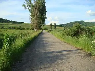 Drumul spre satul Măgheruș