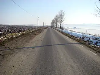 Drumul Cuci-Petrilaca